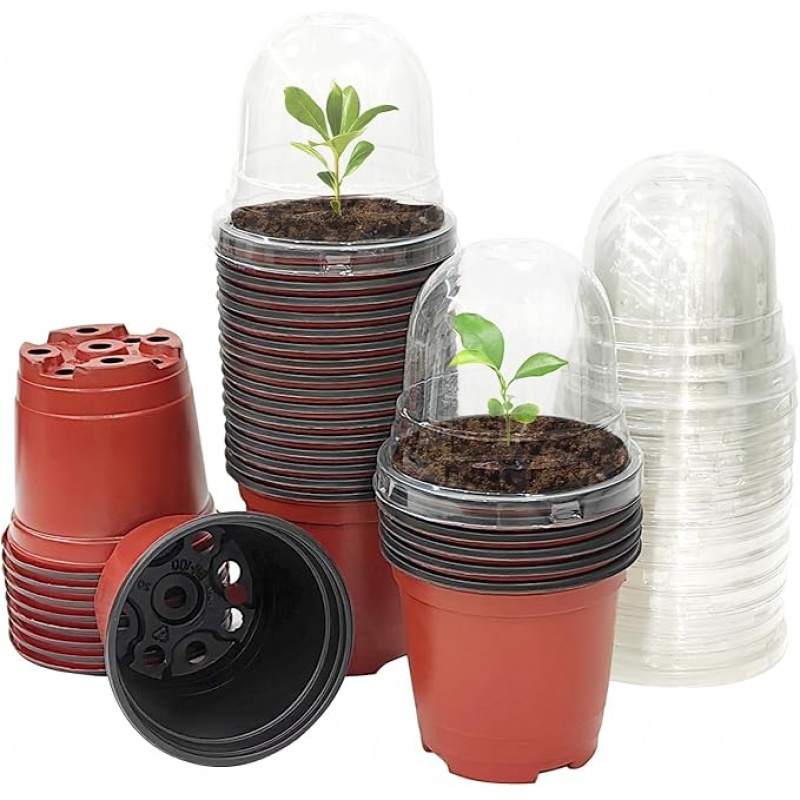 Baby Nursery Plants - Pot de pépinière pour plantes avec