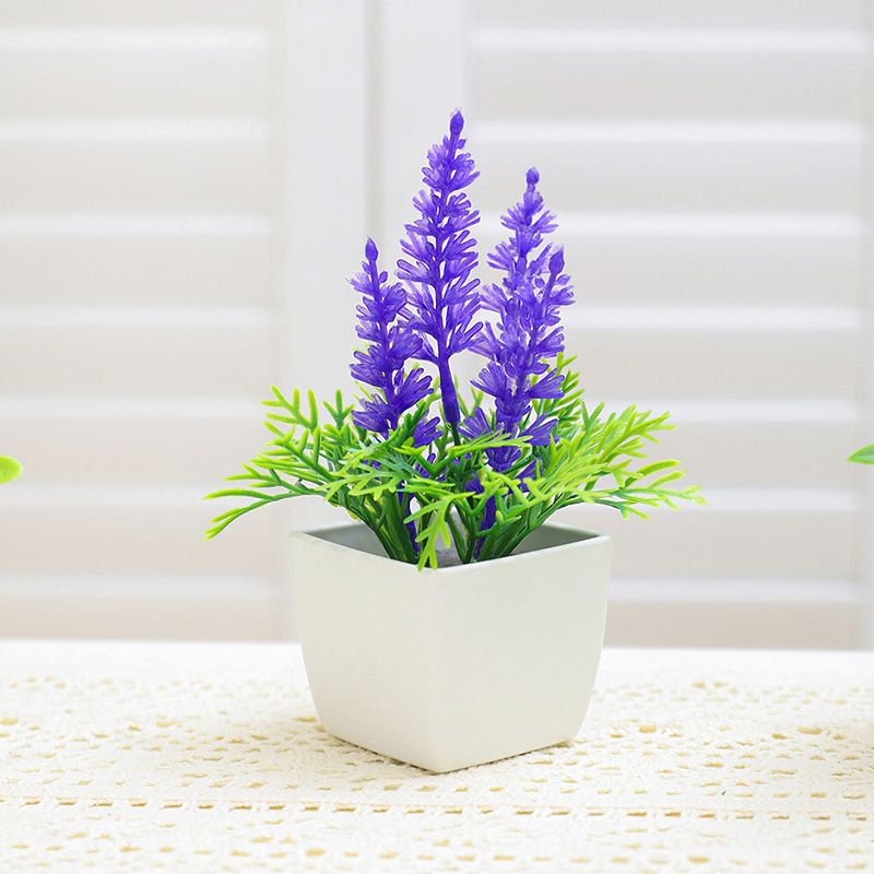 Baby Bookshelf Small - Les petites plantes en pot de