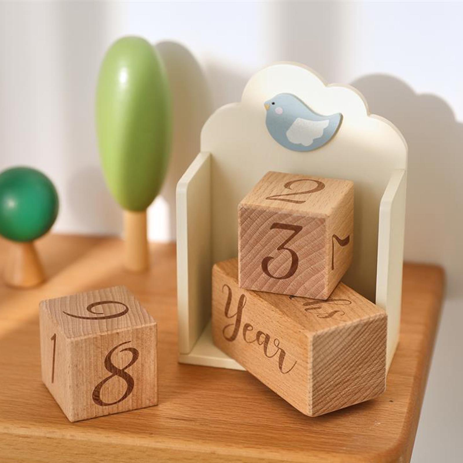 Blocs d'âge en bois pour bébé, - Baby Nursery Age avis et prix