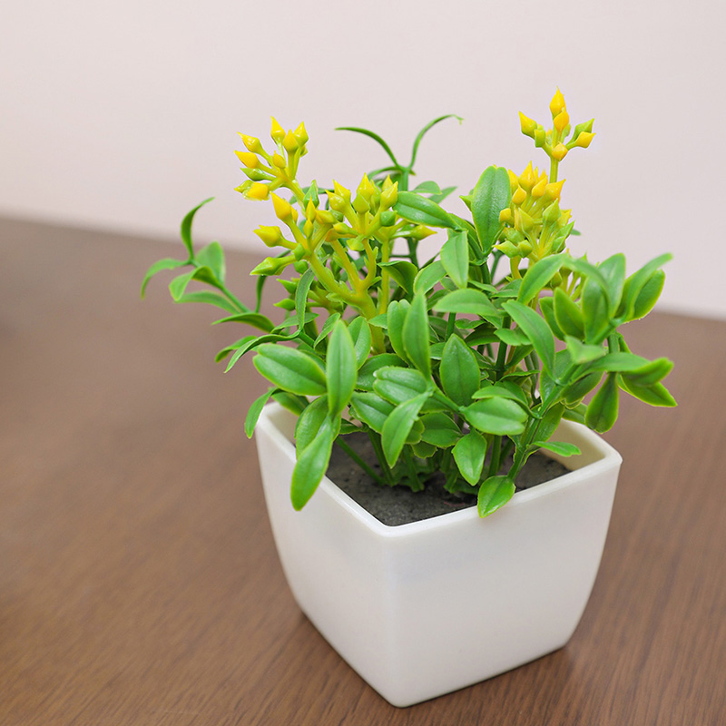 Les petites plantes en pot de  - Baby Bookshelf Small avis et prix