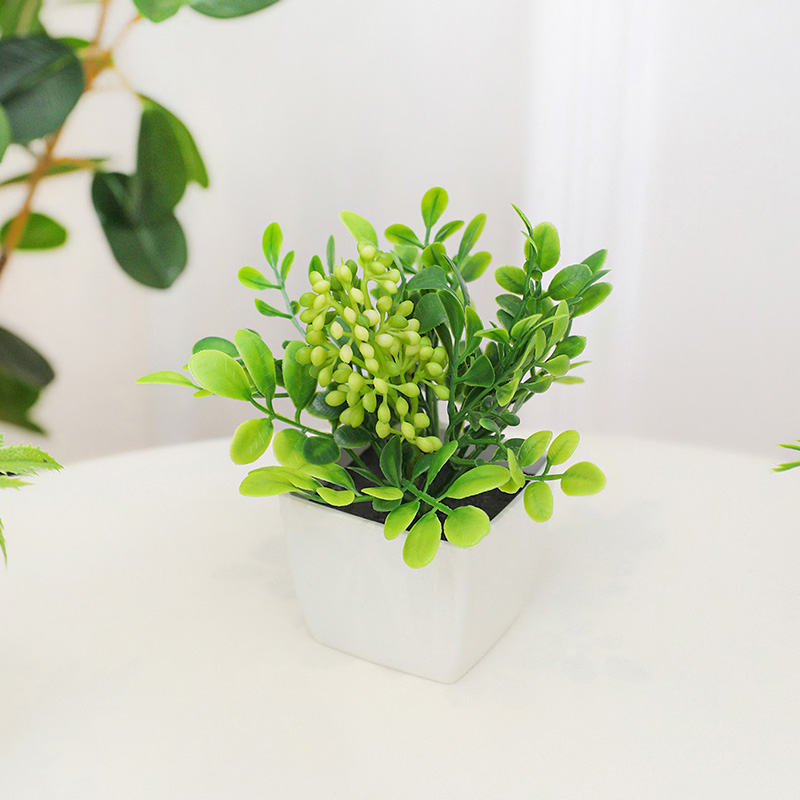 Les petites plantes en pot de  - Baby Bookshelf Small avis et prix