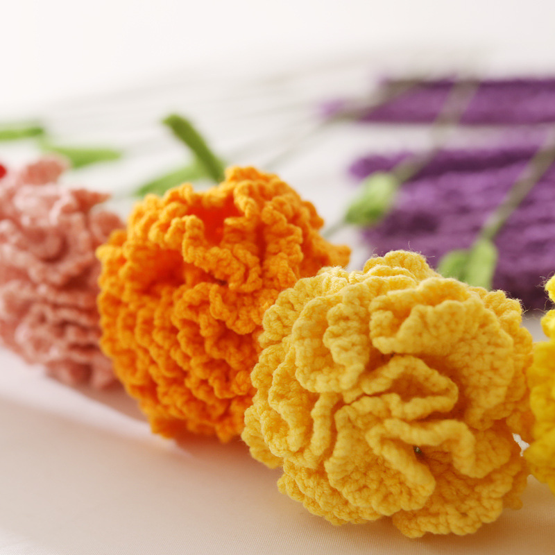 Fil crocheté fait à la main, R - Baby Nursery Plants avis et prix